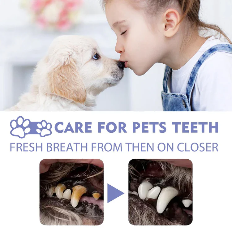 Pet teeth before and after