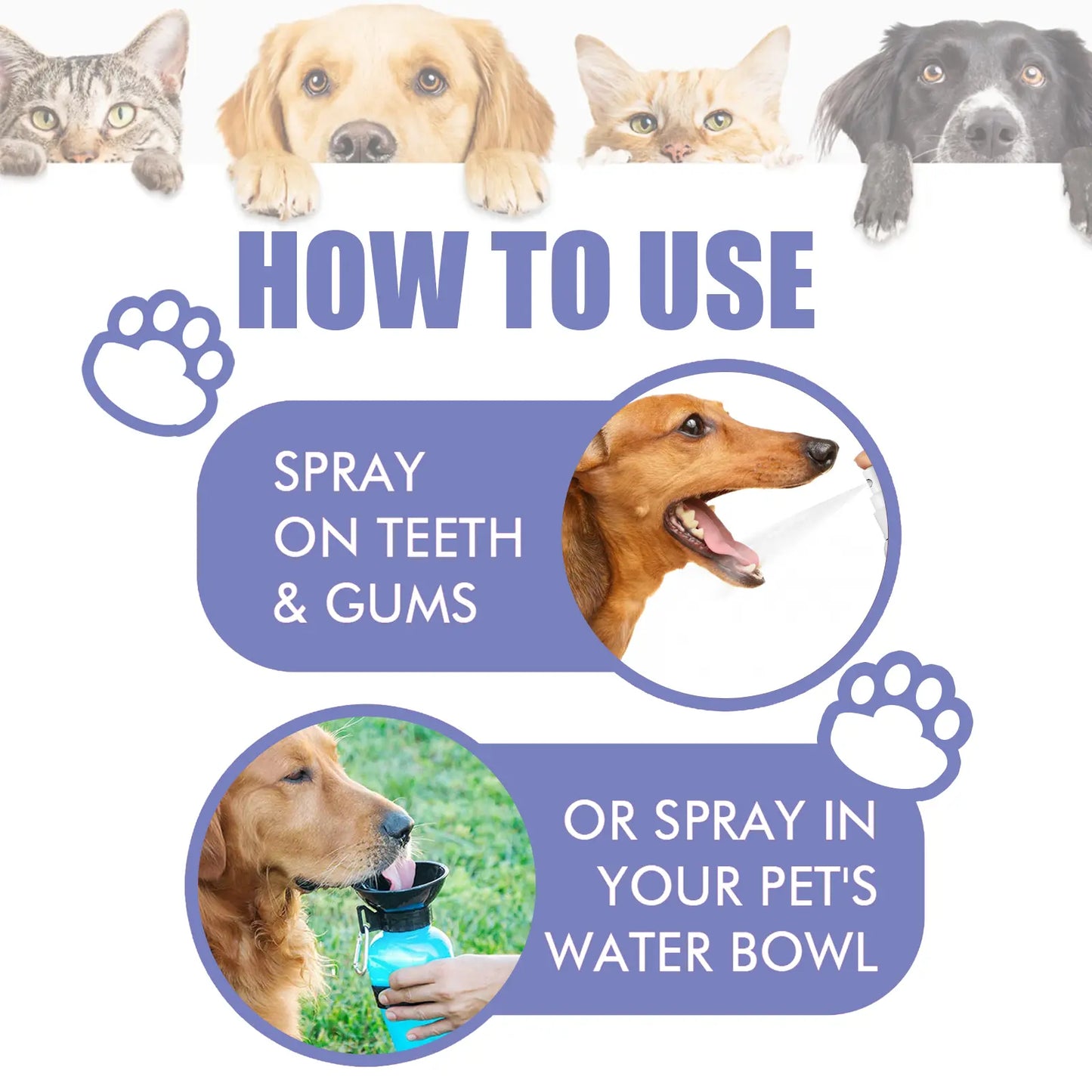 Pretark™ 🍃No-Brushing Oral Care Spray for Dogs & Cats